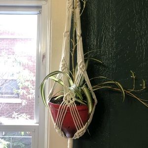Macrame Plant Hanger